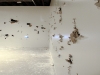 accomplice_installation_view_wk_5_s_0